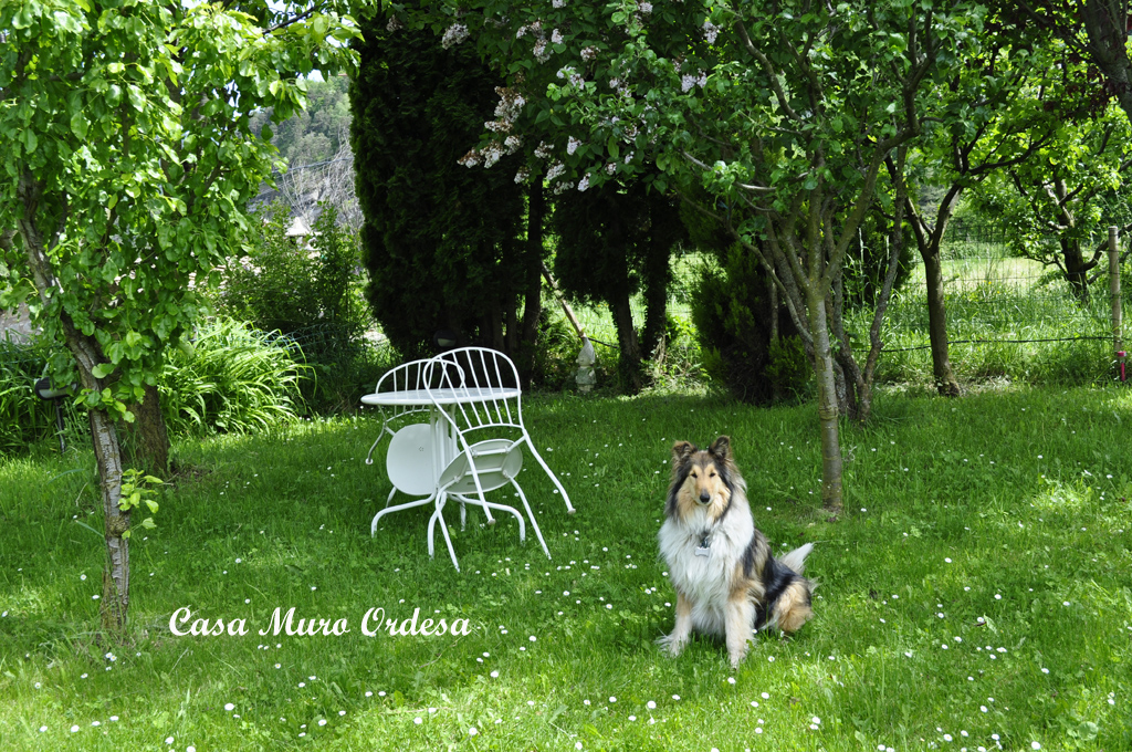Jardin